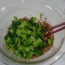 子供も食べやすい 菜の花のたっぷりゴマ和え レシピ 作り方 By Gahirusan 楽天レシピ 子供も食べやすい 菜の花のたっぷりゴマ和え レシピ 作り方 By Gahirusan 楽天レシピ